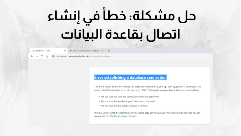 قاعدة البيانات