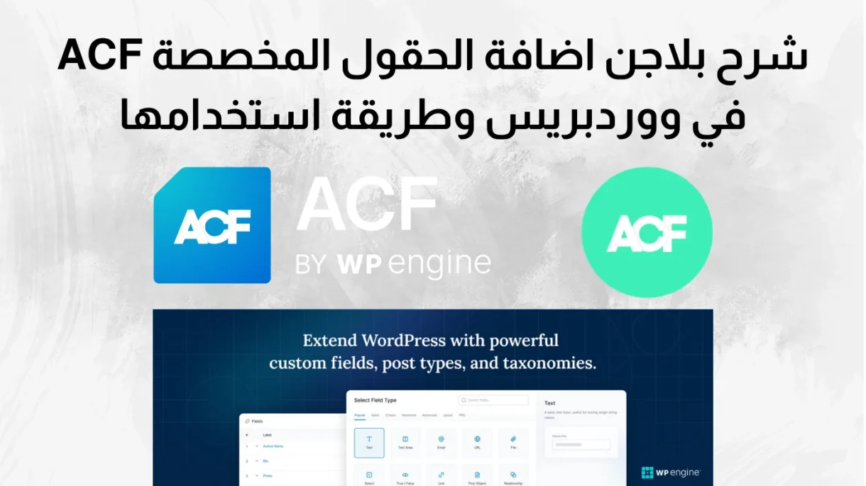 شرح بلاجن اضافة الحقول المخصصة ACF في ووردبريس وطريقة استخدامها 1 شرح بلاجن اضافة الحقول المخصصة ACF في ووردبريس وطريقة استخدامها