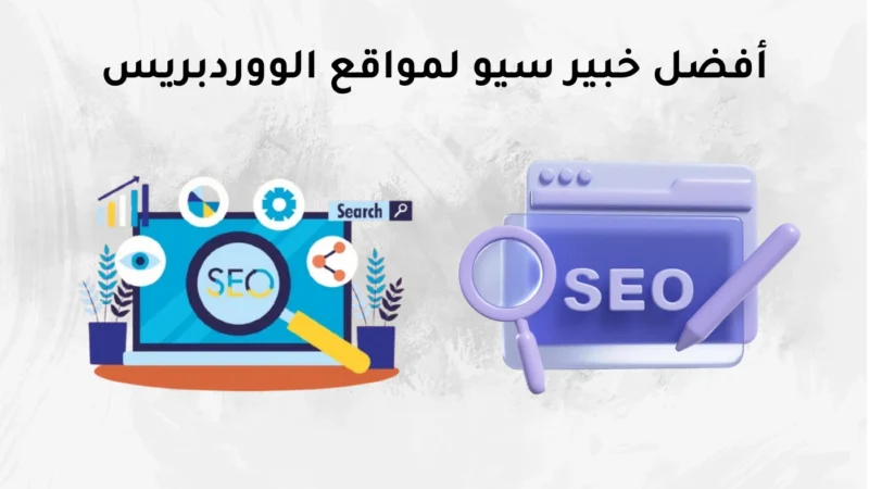 أفضل خبير سيو لمواقع الووردبريس